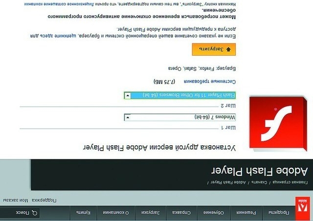 Персональный Сайт - Скачать Флэш Плеер Для Телефона
